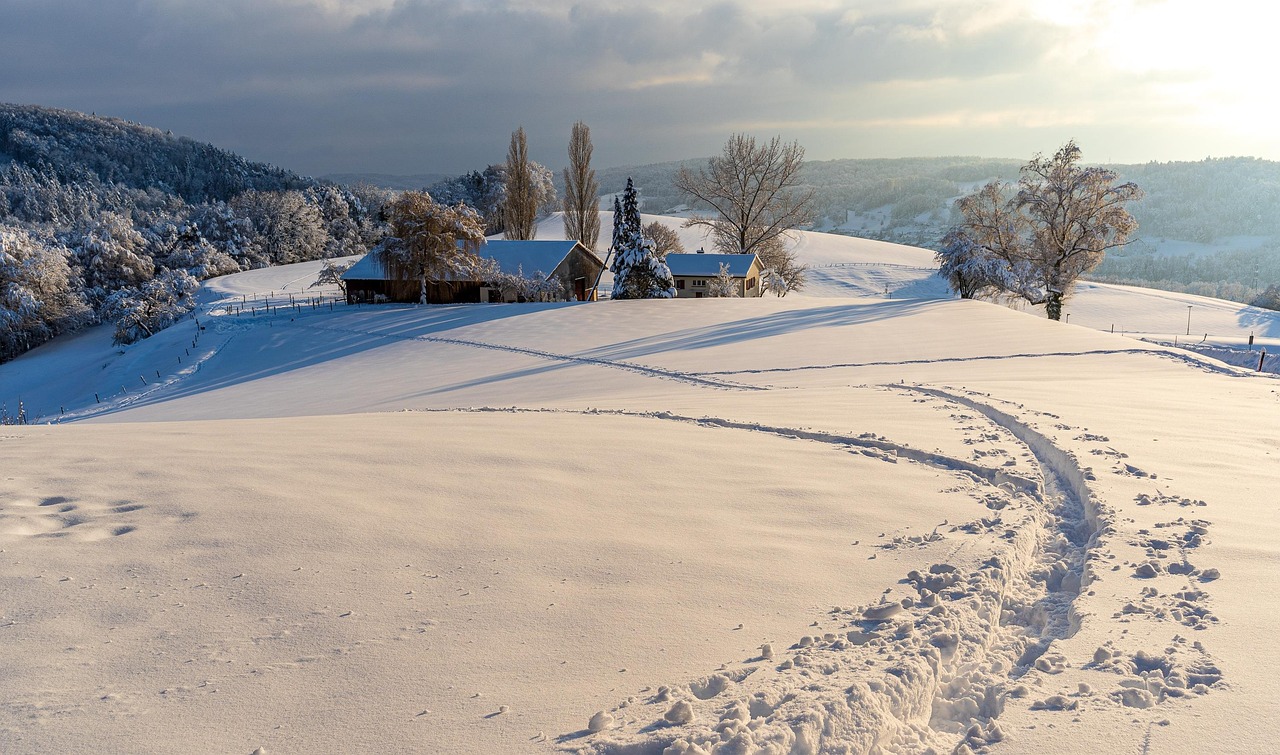 Montagnes et vallée du Queyras recouvertes de neige sous un ciel d’hiver.